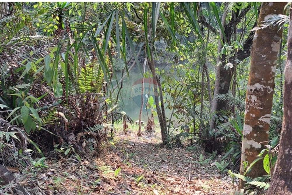 Chácara / Sítio / Fazenda - Venda - Araçariguama , São Paulo - IMG-20240913-WA0052.jpg - 631601010-7