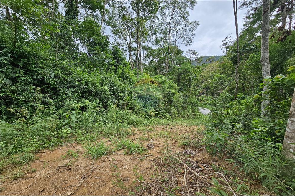 Terreno - Venda - Nova Friburgo , Rio de Janeiro - 43 - 630551016-143