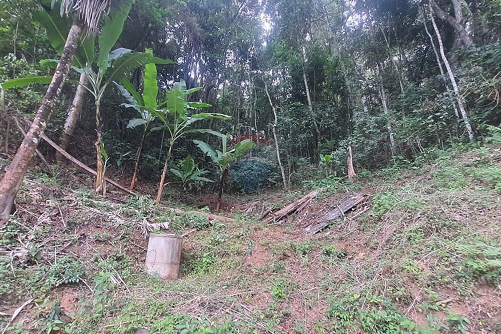 Fazenda - Venda - Teresópolis , Rio de Janeiro - 20250619_093719.jpg - 630191078-25