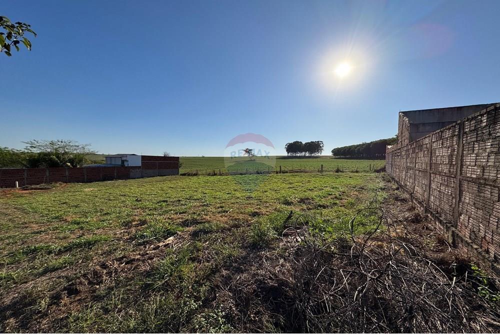 Terreno - Venda - Promissão , São Paulo - IMG-20250925-WA0275.jpg - Quintal - 631011035-24