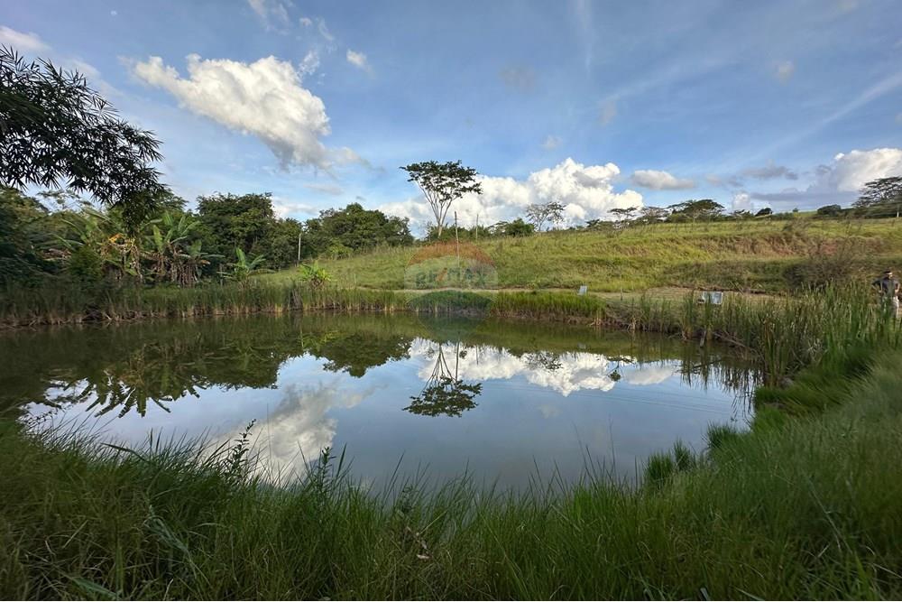 Chácara / Sítio / Fazenda - Venda - Bauru , São Paulo - 29.jpg - 631401012-35