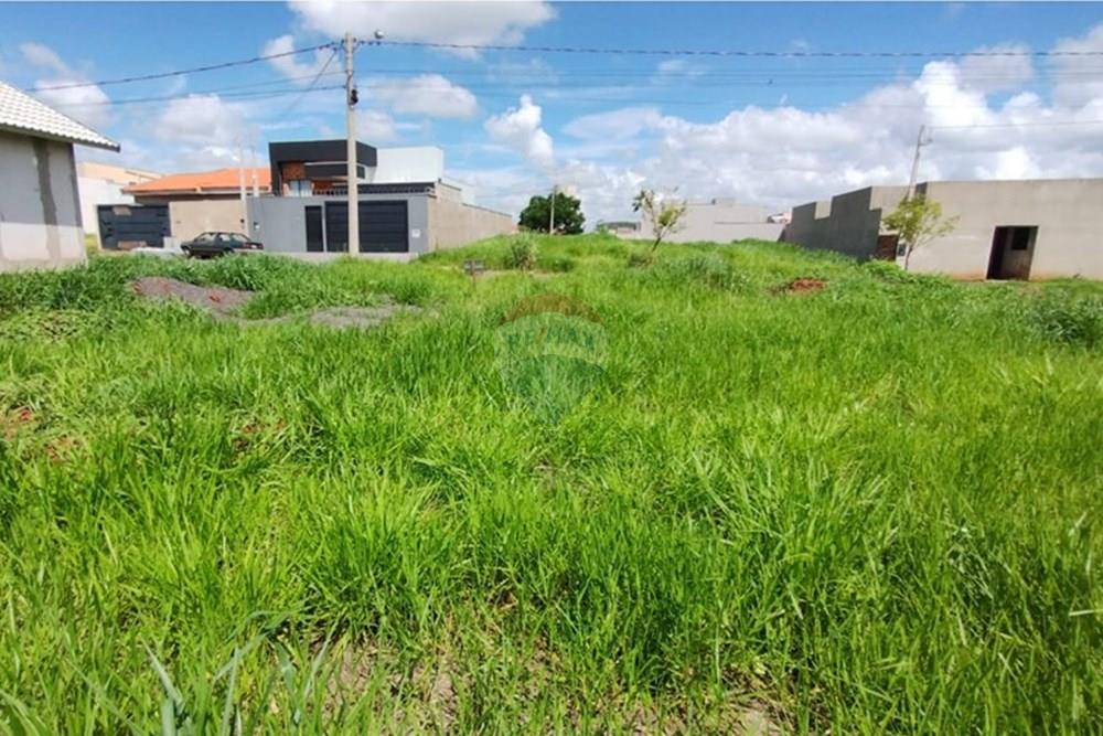 Terreno - Venda - Bady Bassitt , São Paulo - Tangará V06 09.jpg - 631381005-35