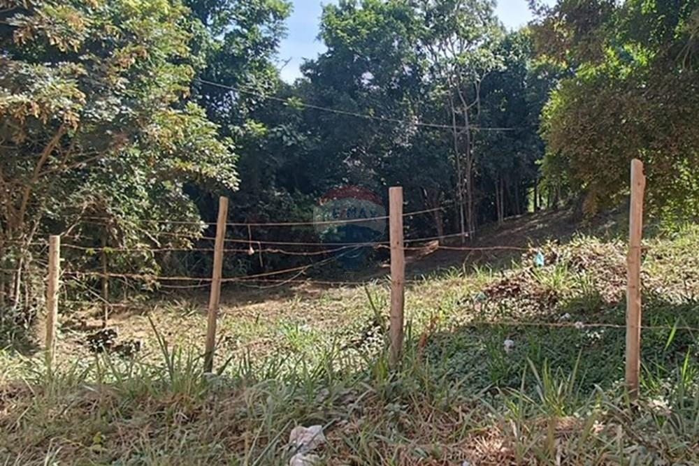 Terreno - Venda - Armação dos Búzios , Rio de Janeiro - WhatsApp Image 2025-02-26 at 15.13.38.jpeg - 630391113-3