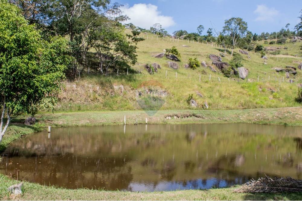 Chácara / Sítio / Fazenda - Venda - Mogi das Cruzes , São Paulo - _MG_7859.jpg - 630281008-100
