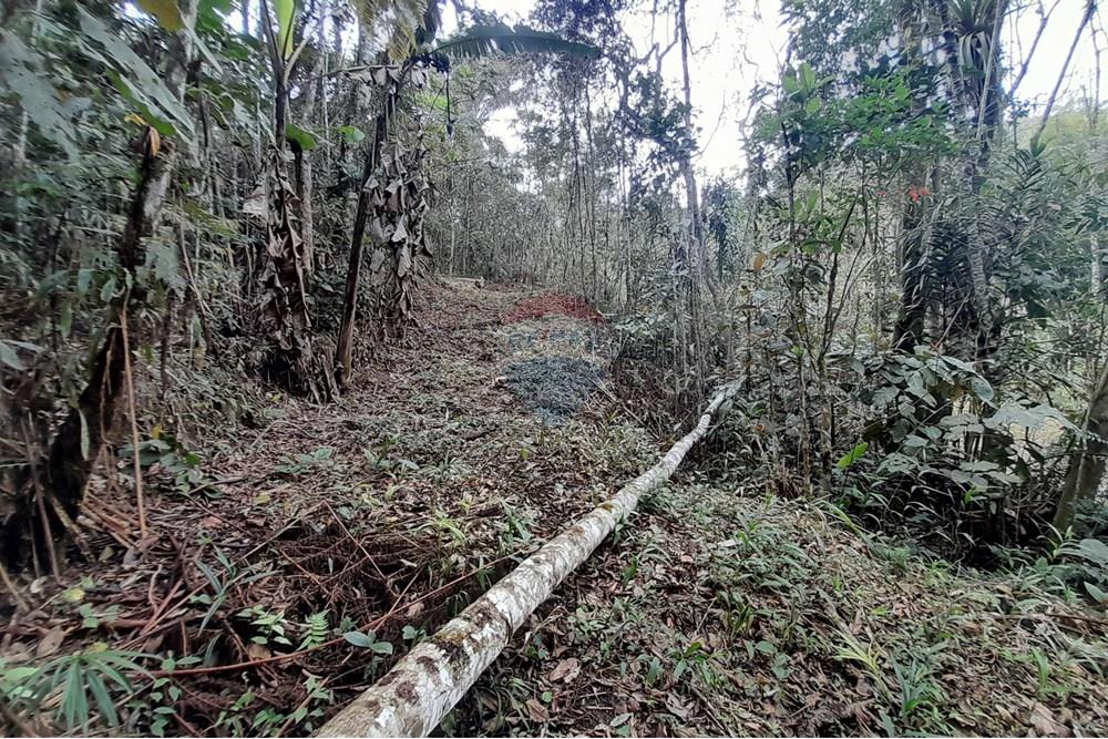 Terreno - Venda - Teresópolis , Rio de Janeiro - 20251012_092721.jpg - 630191084-20