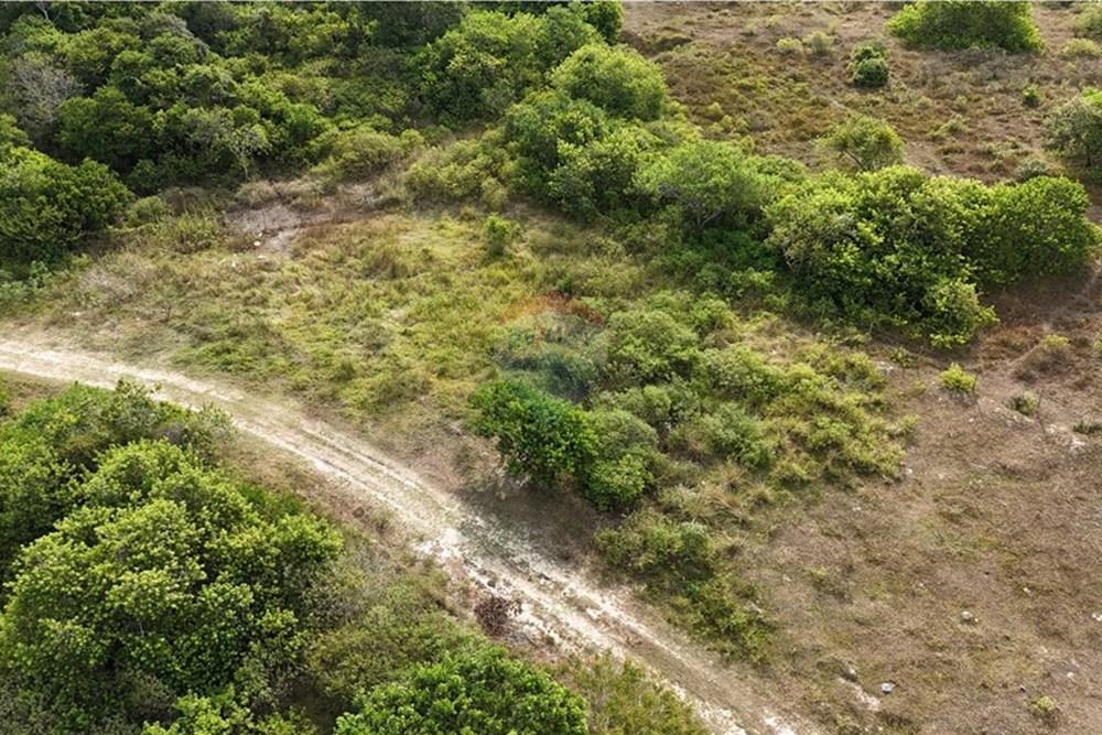Terreno - Venda - Armação dos Búzios , Rio de Janeiro - dji_fly_20250310_154302_0012_1742265330099_photo(1).JPG - 630391033-19