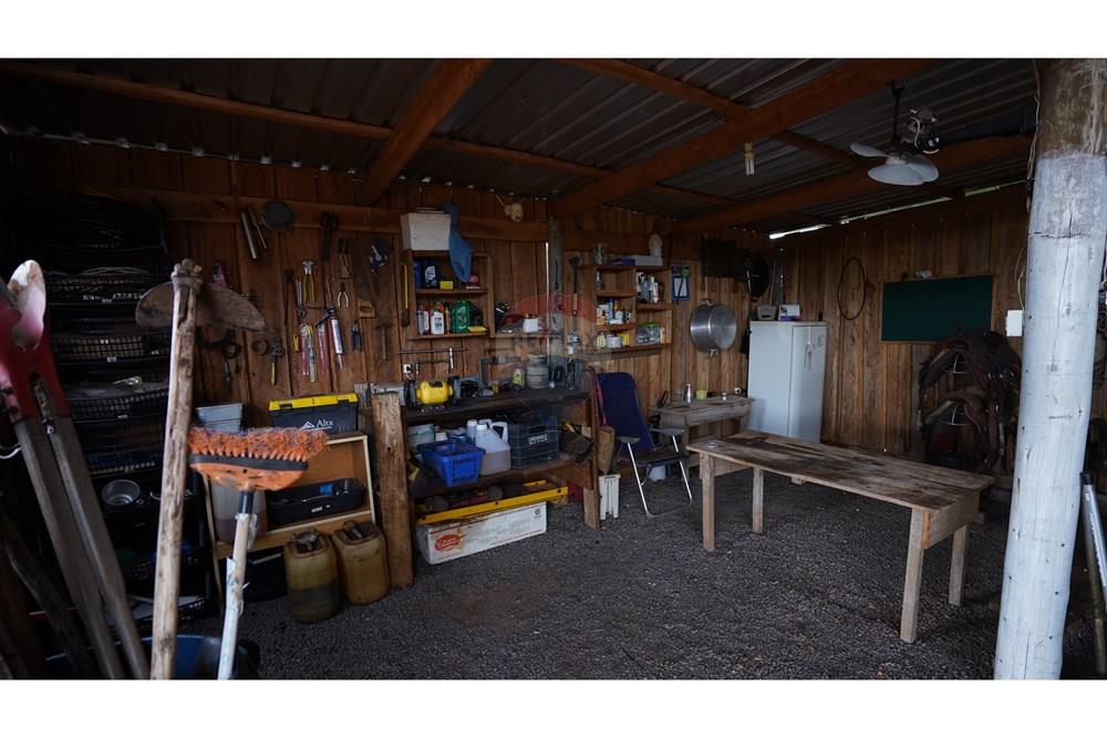 Agro - Venda - Regente Feijó , São Paulo - DSC00742.JPG - 630091016-183