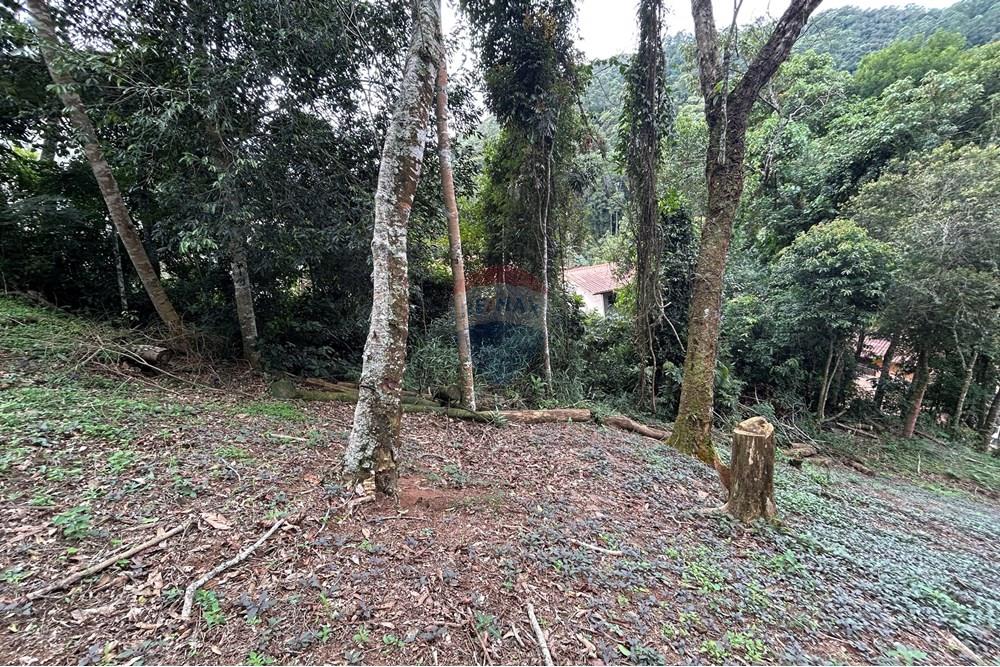 Terreno - Venda - Nova Friburgo , Rio de Janeiro - IMG_0266.JPG - 630551085-21