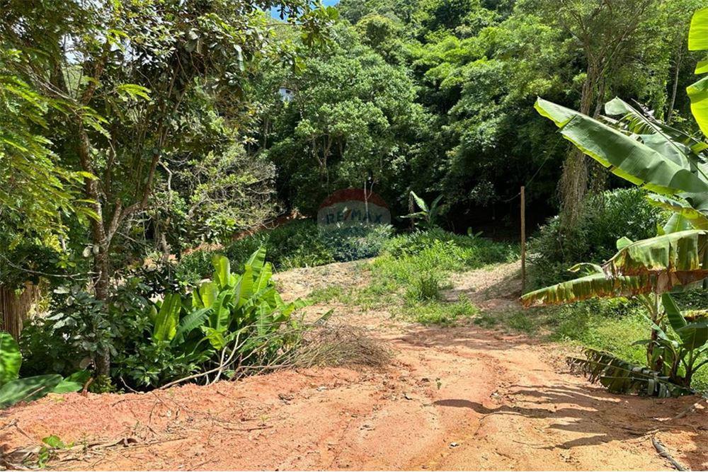 Terreno - Venda - Nova Friburgo , Rio de Janeiro - 8 - 630551016-143