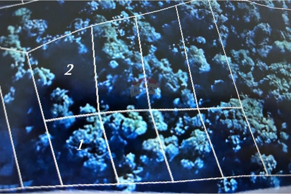 Terreno - Venda - Mairiporã , São Paulo - Imagem do WhatsApp de 2025-09-22 à(s) 14.09.16_2ab50412.jpg - 631361005-146