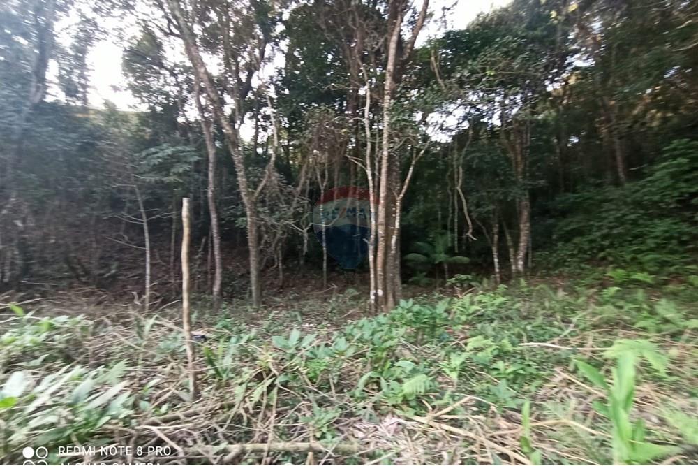 Terreno - Venda - Mairiporã , São Paulo - WhatsApp Image 2025-07-14 at 23.09.36 (3).jpeg - 631361025-36