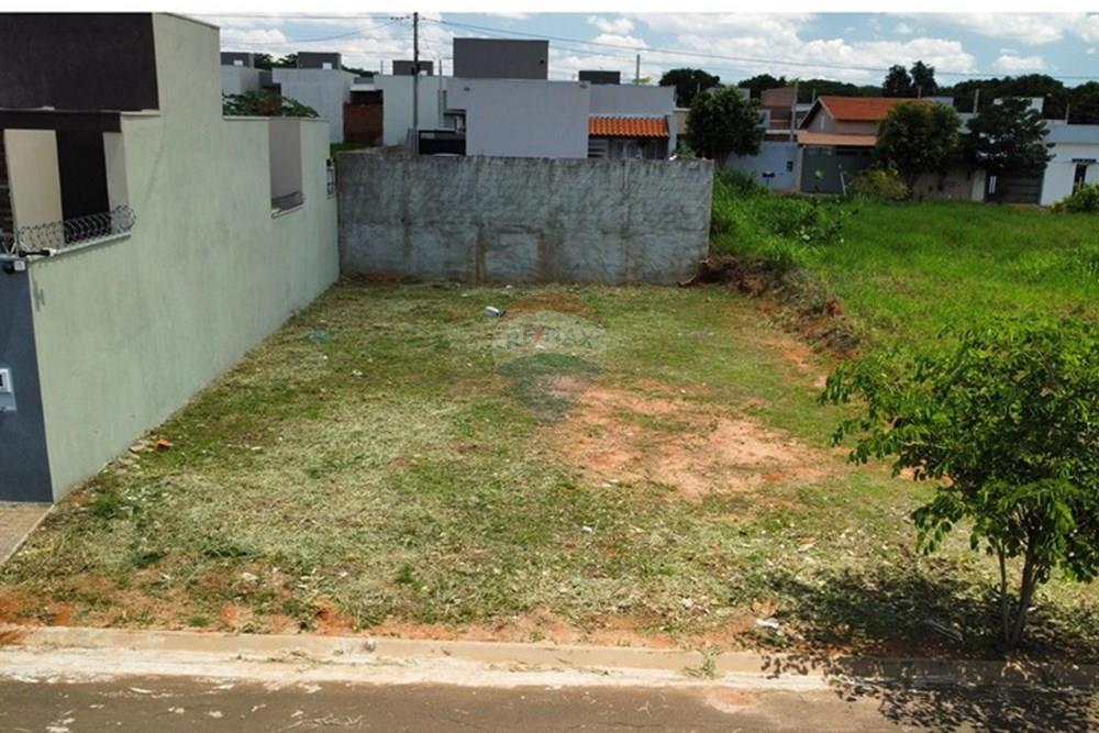 Terreno - Venda - Cedral , São Paulo - dji_fly_20241111_132322_32_1731342225528_photo_optimized - Copia.jpg - 631481001-5