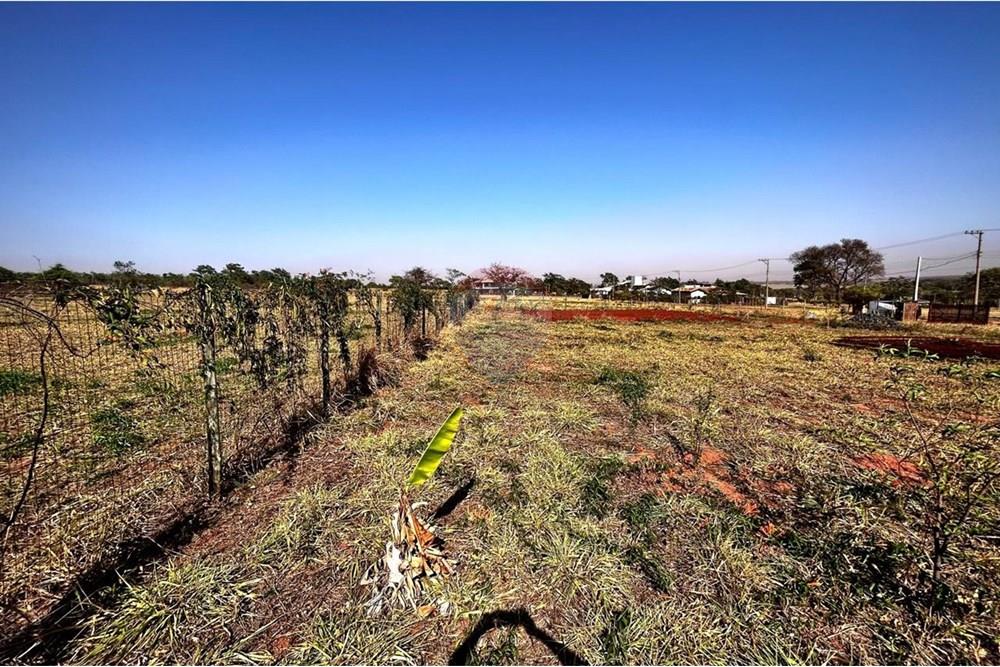 Terreno - Venda - Arealva , São Paulo - WhatsApp Image 2025-09-12 at 10.21.14.jpeg - 631401012-39