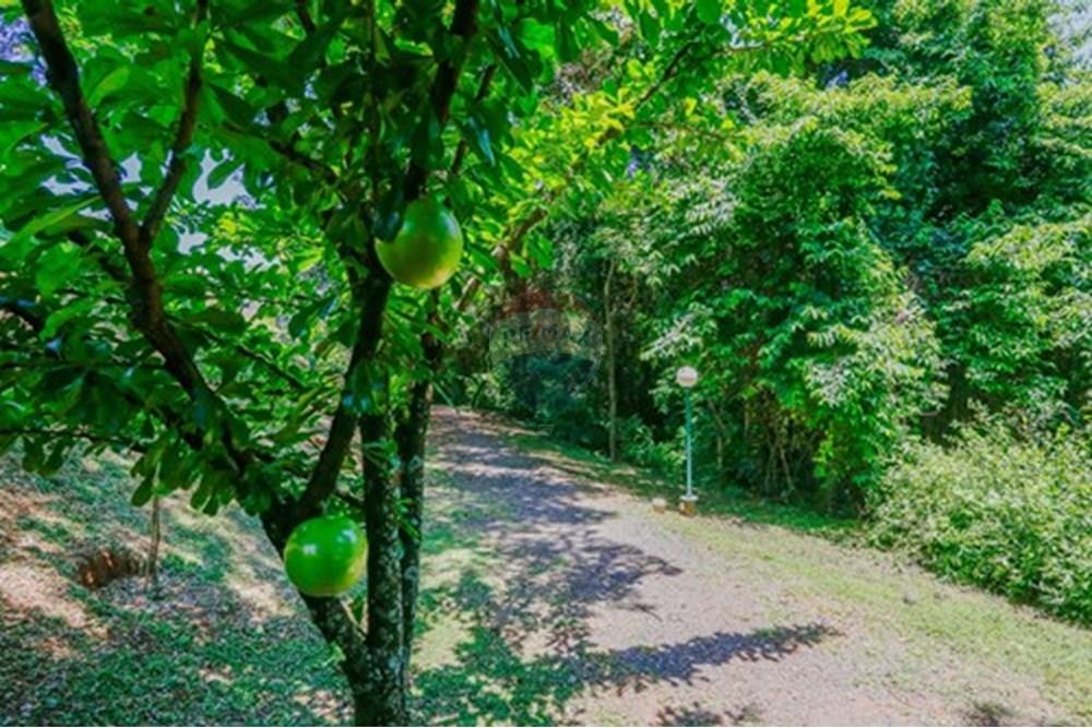 Casa de Condomínio - Venda - Sorocaba , São Paulo - L_268348ae-c5a9-4273-9dfc-90108423b56f.jpg - 630591167-61