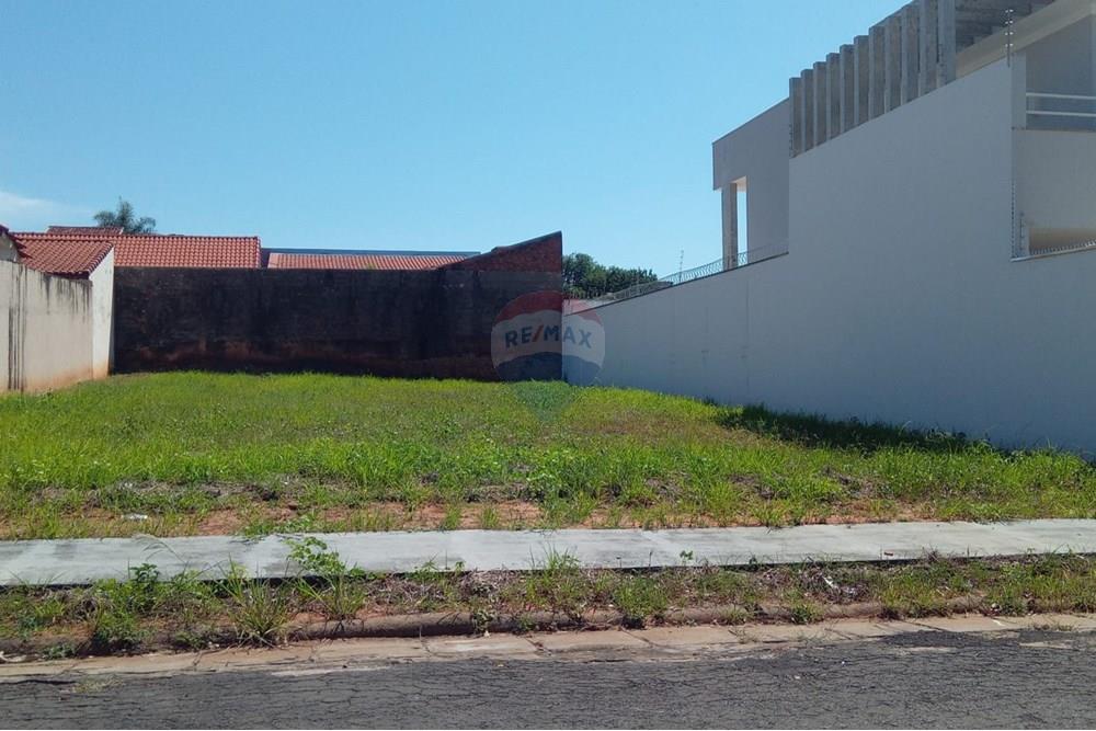 Terreno - Venda - Tupã , São Paulo - Imagem do WhatsApp de 2025-01-10 à(s) 08.59.28_0366d9aa.jpg - 630151046-18