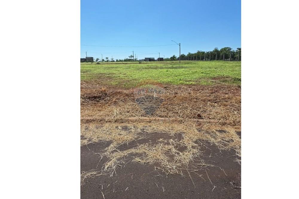 Terreno - Venda - Araçatuba , São Paulo - WhatsApp Image 2025-01-08 at 14.59.53.jpeg - 630541038-22