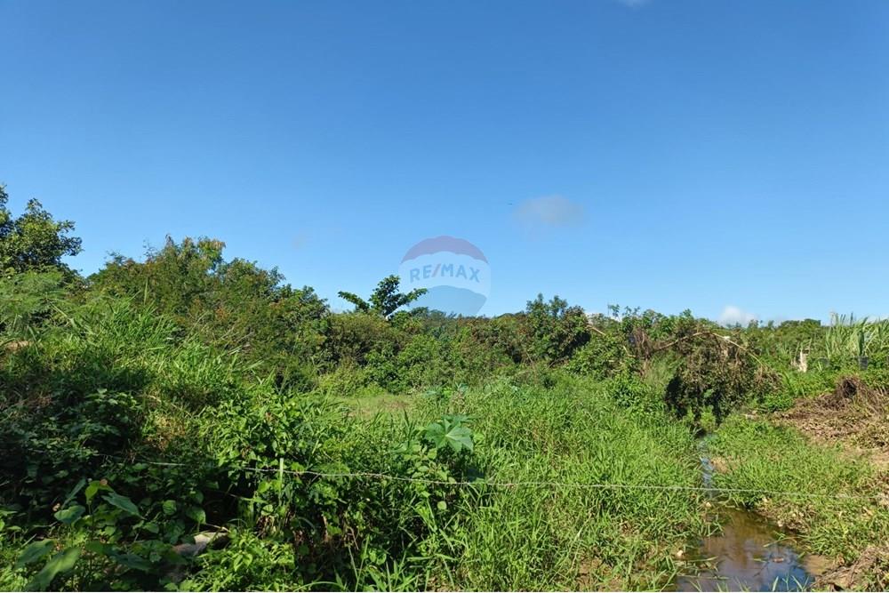 Terreno - Venda - Cabo Frio , Rio de Janeiro - 1000874627.jpg - 630391089-23