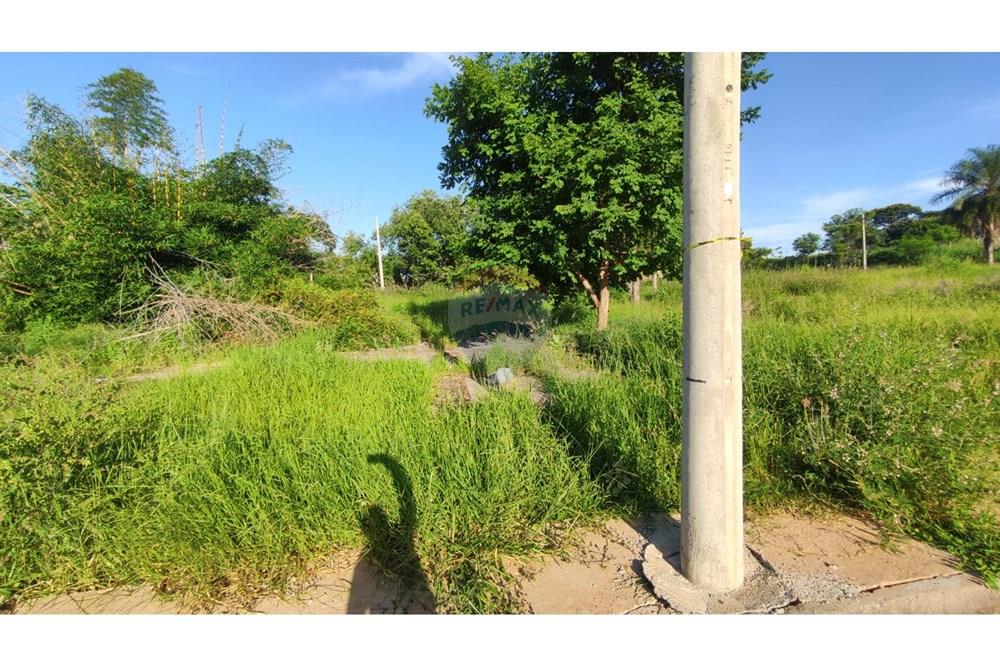 Casa - Venda - Andradina , São Paulo - WhatsApp Image 2025-02-21 at 08.42.30 (1).jpeg - 631201044-136