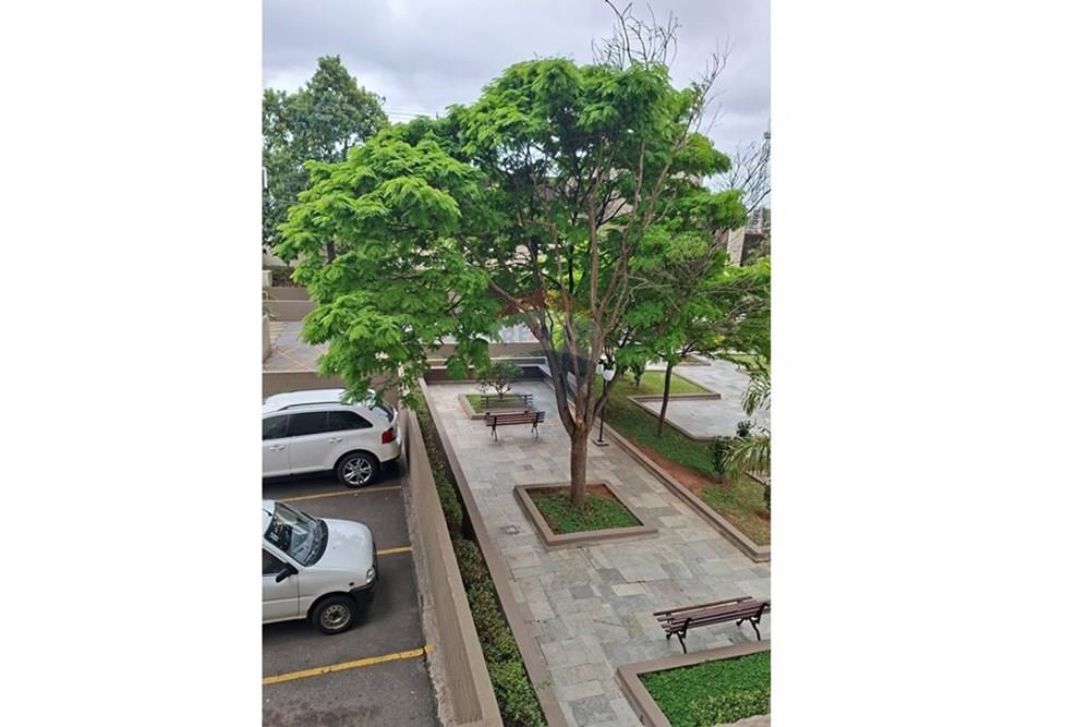 Apartamento - Venda - Guarulhos , São Paulo - 20250925_122131.jpg - 631271004-69