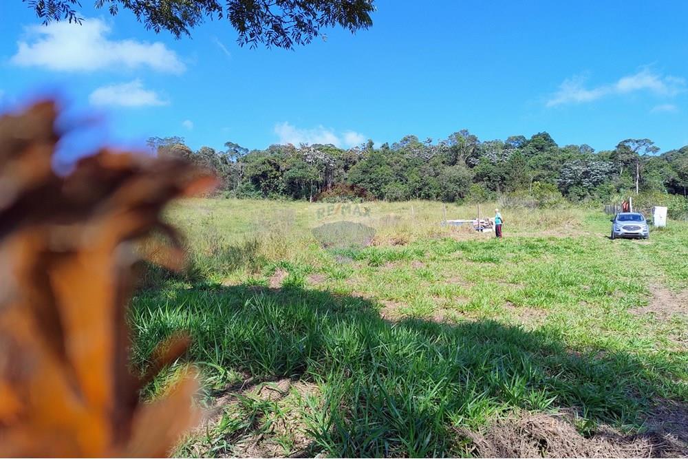 Terreno - Venda - Mogi das Cruzes , São Paulo - IMG_20250505_095746669_AE.jpg - 631251047-137