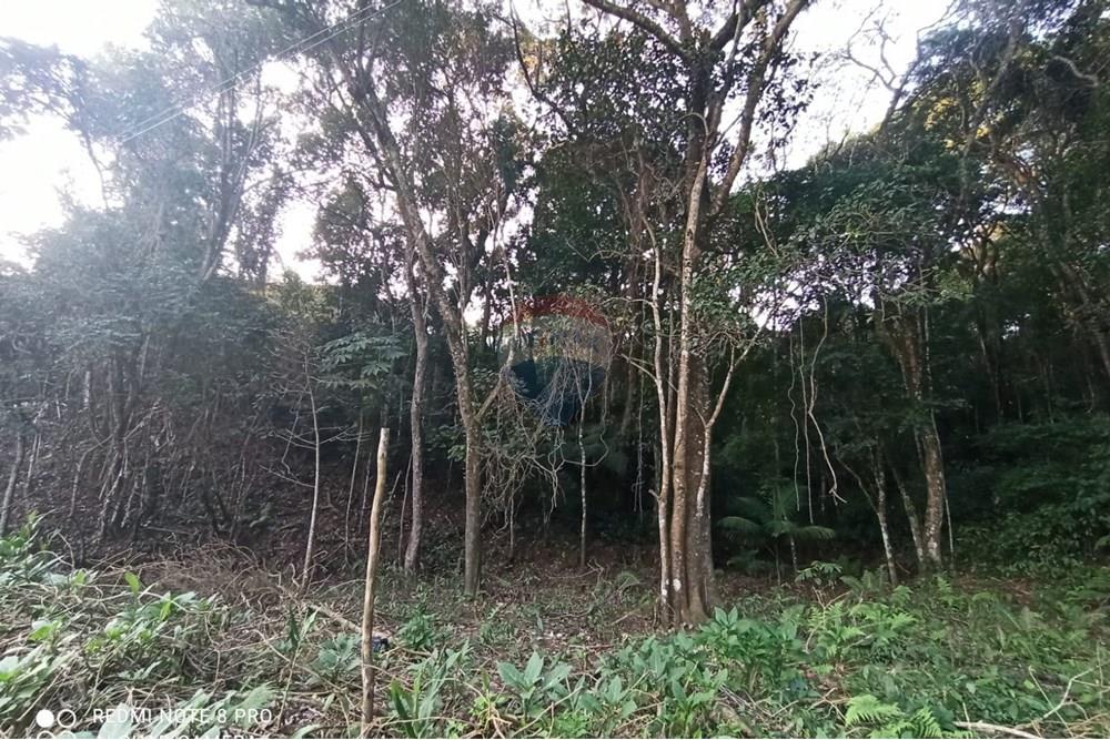 Terreno - Venda - Mairiporã , São Paulo - WhatsApp Image 2025-07-14 at 23.09.30.jpeg - 631361025-36