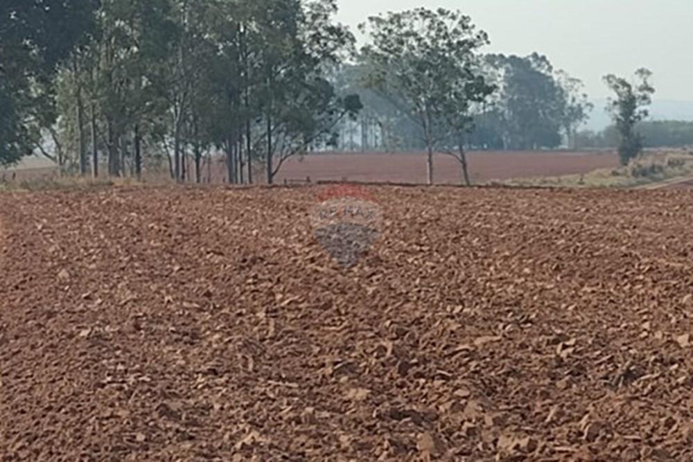 Chácara / Sítio / Fazenda - Venda - Tupã , São Paulo - WhatsApp Image 2024-10-18 at 20.43.07 (1).jpeg - 630541038-17