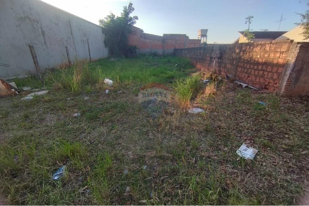 Terreno - Venda - Andradina , São Paulo - WhatsApp Image 2025-03-10 at 13.23.29.jpeg - 631201035-25