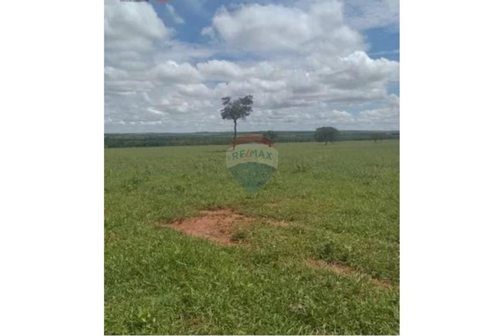 Chácara / Sítio / Fazenda - Venda - Junqueirópolis , São Paulo - WhatsApp Image 2024-10-26 at 10.20.00.jpeg - 630541038-36