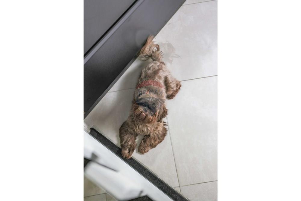 Casa de Condomínio - Venda - Sorocaba , São Paulo - IMG_1729.jpg - 630601005-99