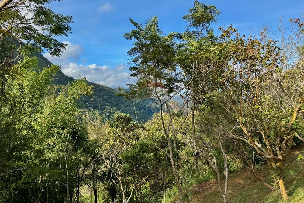 Chácara / Sítio / Fazenda - Venda - Nova Friburgo , Rio de Janeiro - IMG_7654.jpg - 630551037-31