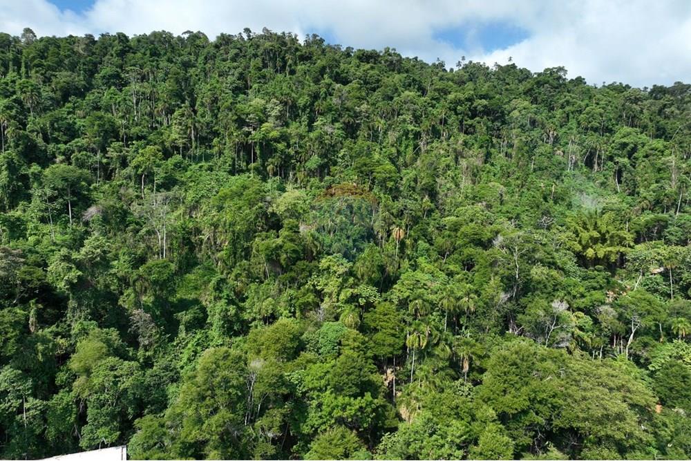 Terreno - Venda - Ilhabela , São Paulo - IMG-20250604-WA0014.jpg - 630951011-24