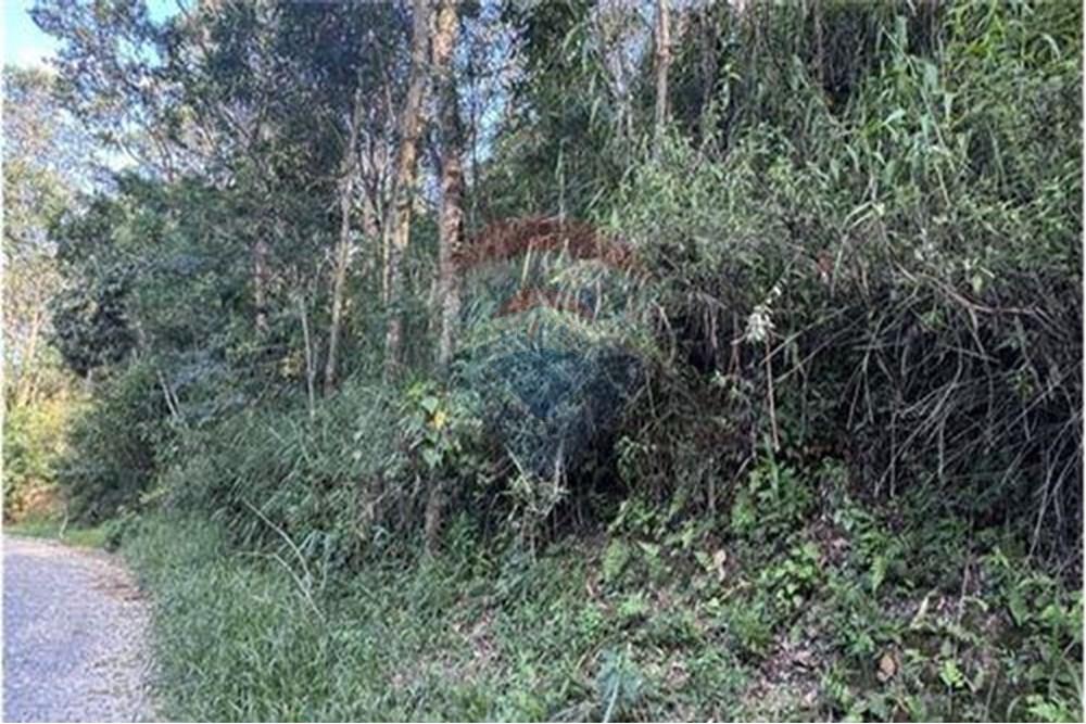 Terreno - Venda - Nova Friburgo , Rio de Janeiro - L_6f0b673c-f757-49da-a6ec-8c7d540924a9_iList.jpg - 630551023-411