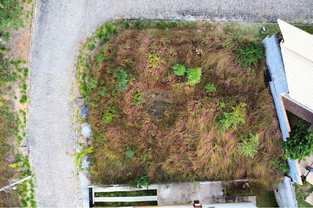 Terreno - Venda - Nova Friburgo , Rio de Janeiro - Foto Terreno  (7).jpg - 631671001-4