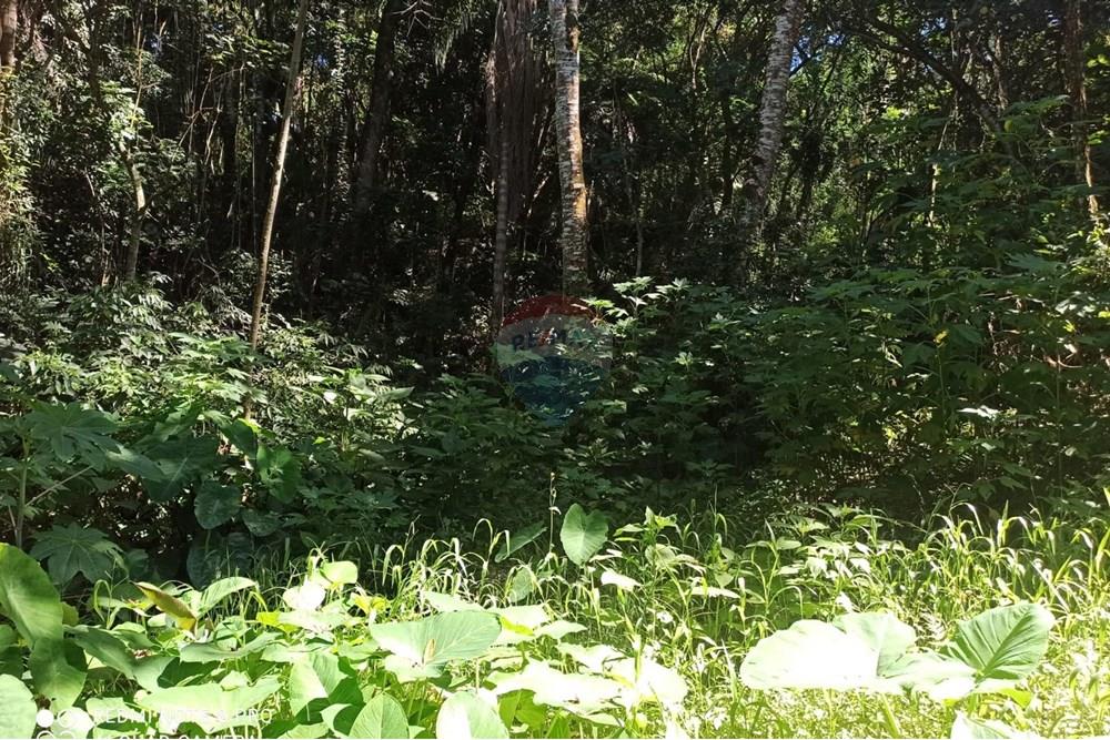 Terreno - Venda - Mairiporã , São Paulo - WhatsApp Image 2025-02-21 at 12.03.19 (1).jpeg - 631361025-30