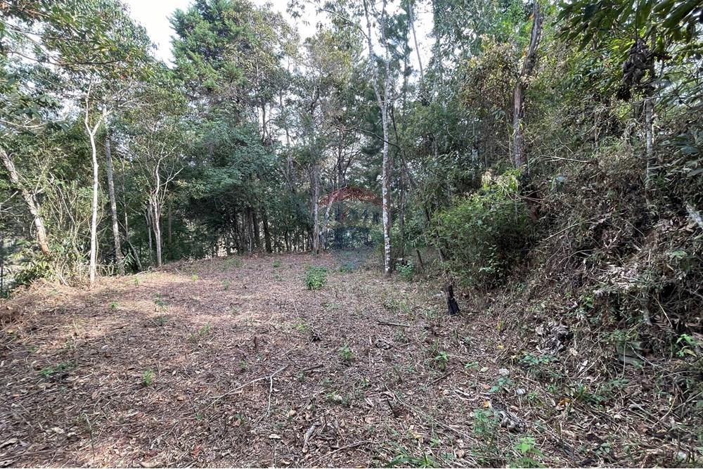 Terreno - Venda - Nova Friburgo , Rio de Janeiro - 31529B8D-8913-46C2-81A3-B72726F2C702.JPG - 630551071-14