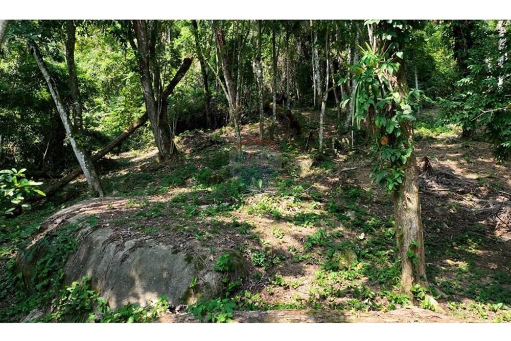 Terreno - Venda - Ilhabela , São Paulo - IMG-20250604-WA0013.jpg - 630951011-24