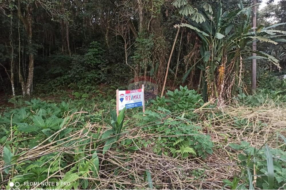 Terreno - Venda - Mairiporã , São Paulo - WhatsApp Image 2025-08-02 at 00.48.44 (2).jpeg - 631361025-36
