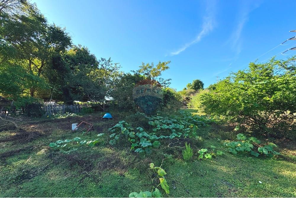 Chácara / Sítio / Fazenda - Venda - Araçatuba , São Paulo - 20250604_124301414_iOS.jpg - 630541038-46