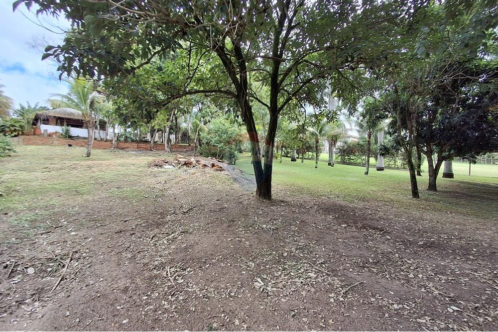 Casa de Campo - Venda - Lins , São Paulo - 1000125765_edited.jpeg - 630511002-79