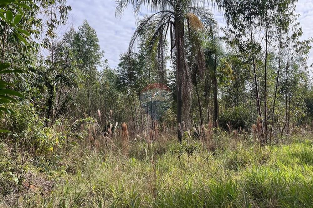 Terreno - Venda - Cabreúva , São Paulo - foto 14.jpg - 630531013-11