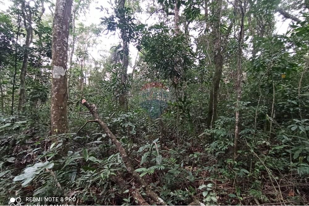 Terreno - Venda - Mairiporã , São Paulo - WhatsApp Image 2025-07-28 at 23.50.20.jpeg - 631361025-37