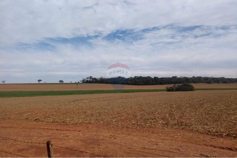 Chácara / Sítio / Fazenda - Venda - Pereira Barreto , São Paulo - WhatsApp Image 2024-11-04 at 19.54.14.jpeg - 630541038-15