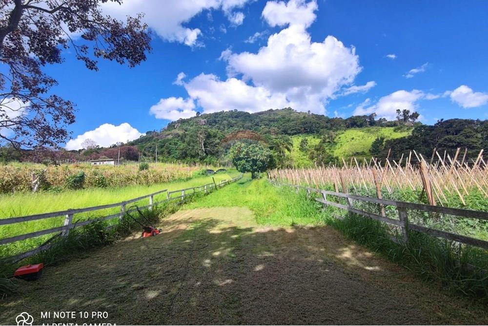 Chácara / Sítio / Fazenda - Venda - Toledo , Minas Gerais - WhatsApp Image 2025-02-28 at 19.58.28 (1).jpeg - 630251077-56