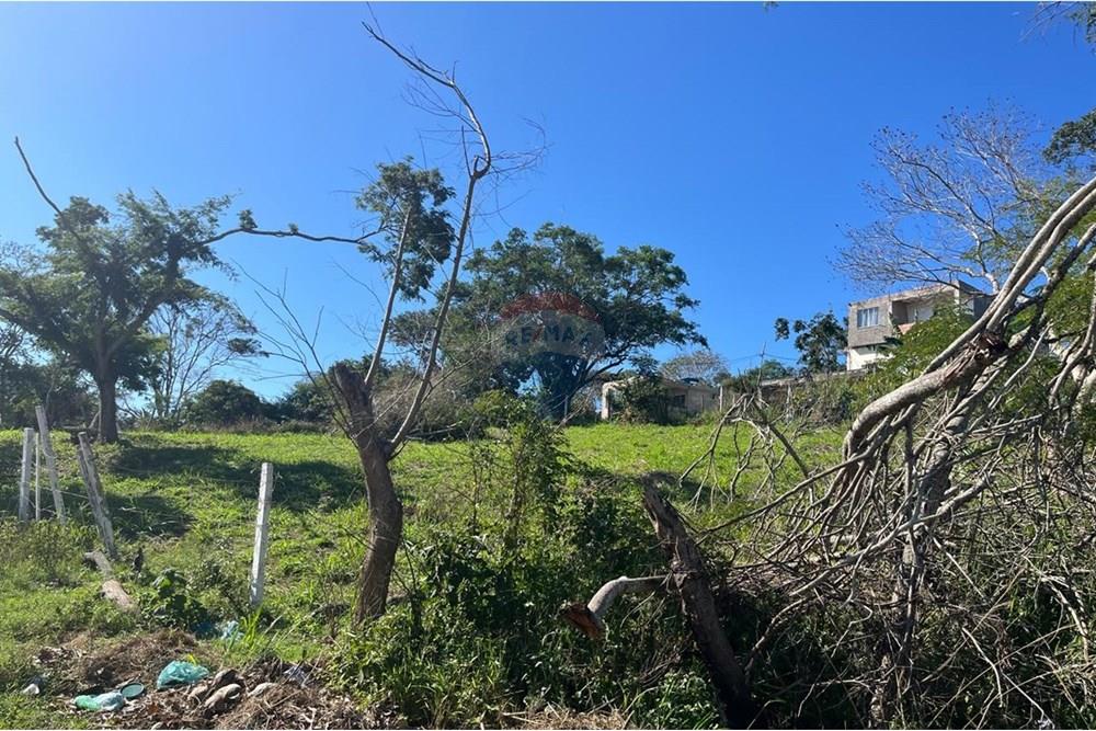 Terreno - Venda - Cabo Frio , Rio de Janeiro - PHOTO-2025-07-12-11-35-57(3).jpg - 631591002-19