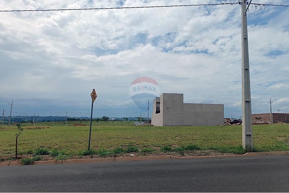 Terreno - Venda - Presidente Prudente , São Paulo - IMG_20251028_135801.jpg - 630861066-10