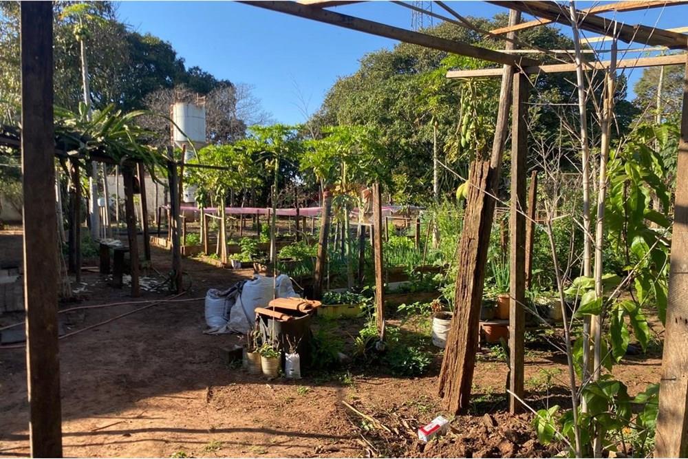 Chácara / Sítio / Fazenda - Venda - Lins , São Paulo - WhatsApp Image 2025-08-12 at 20.28.51.jpeg - 631011037-40