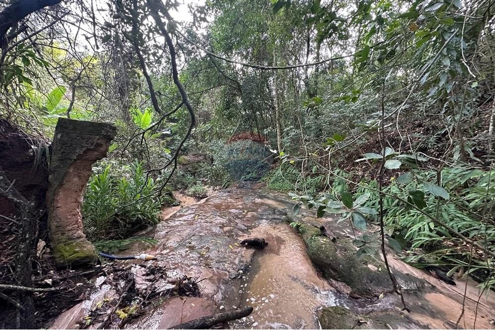 Chácara / Sítio / Fazenda - Venda - Bauru , São Paulo - 33.jpg - 631401012-35