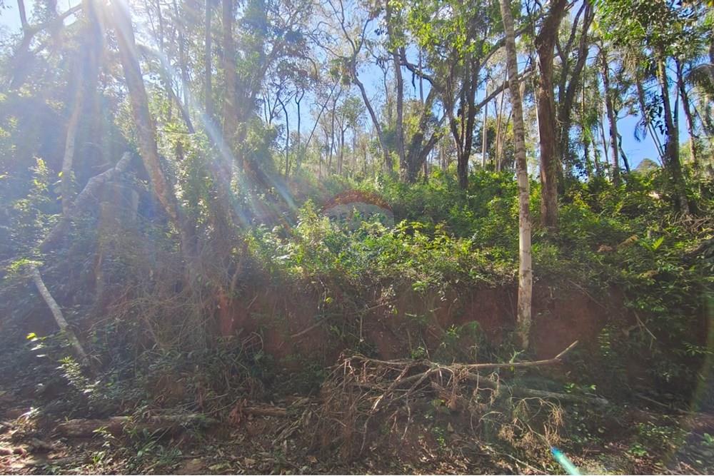 Terreno - Venda - Mairiporã , São Paulo - Terreno rafael 10.jpg - 631361069-8