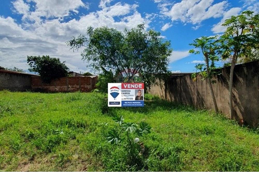 Terreno - Venda - Lins , São Paulo - WhatsApp Image 2025-04-25 at 10.35.59 (2).jpeg - 630511048-15