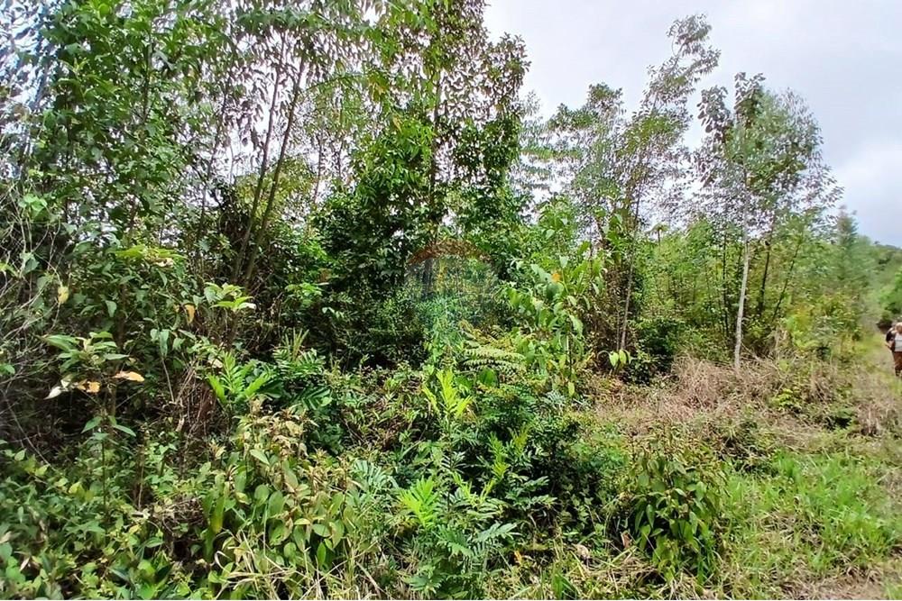 Terreno - Venda - Mogi das Cruzes , São Paulo - WhatsApp Image 2024-11-11 at 11.58.52 (2).jpeg - 631541001-10